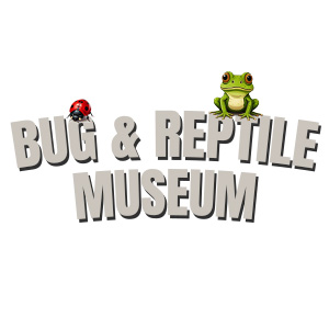 Bug & Reptile Museum